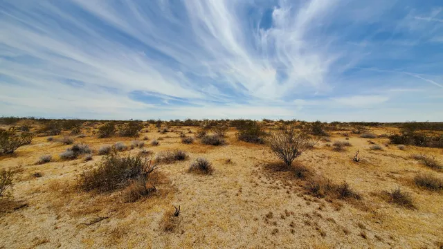 wooden view of city and ocean