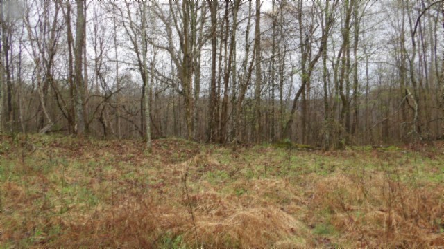 0 Denton Road Moss, TN 38575 - Photo 59 of 75 Gallery Image 59
