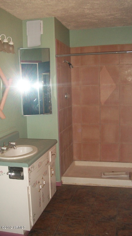 3442 West Meander Road New River, AZ 85087 - Photo 22 of 29 Master Bath