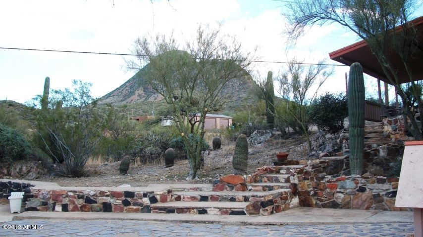3442 West Meander Road New River, AZ 85087 - Photo 5 of 29 Natural Desert Beauty