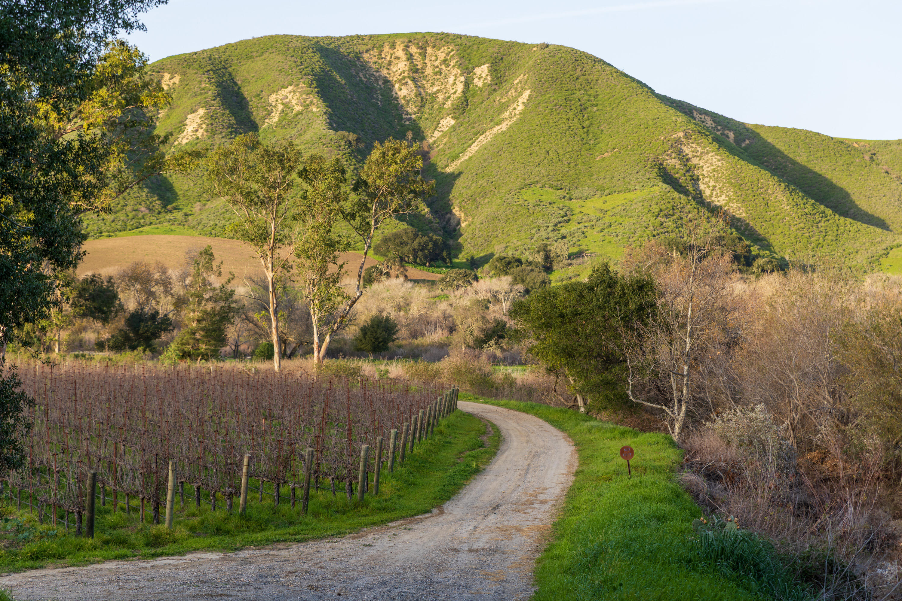 6855 Santa Rosa Road Buellton, CA 93427 - Photo 5 of 30 6855 Santa Rosa Web-26