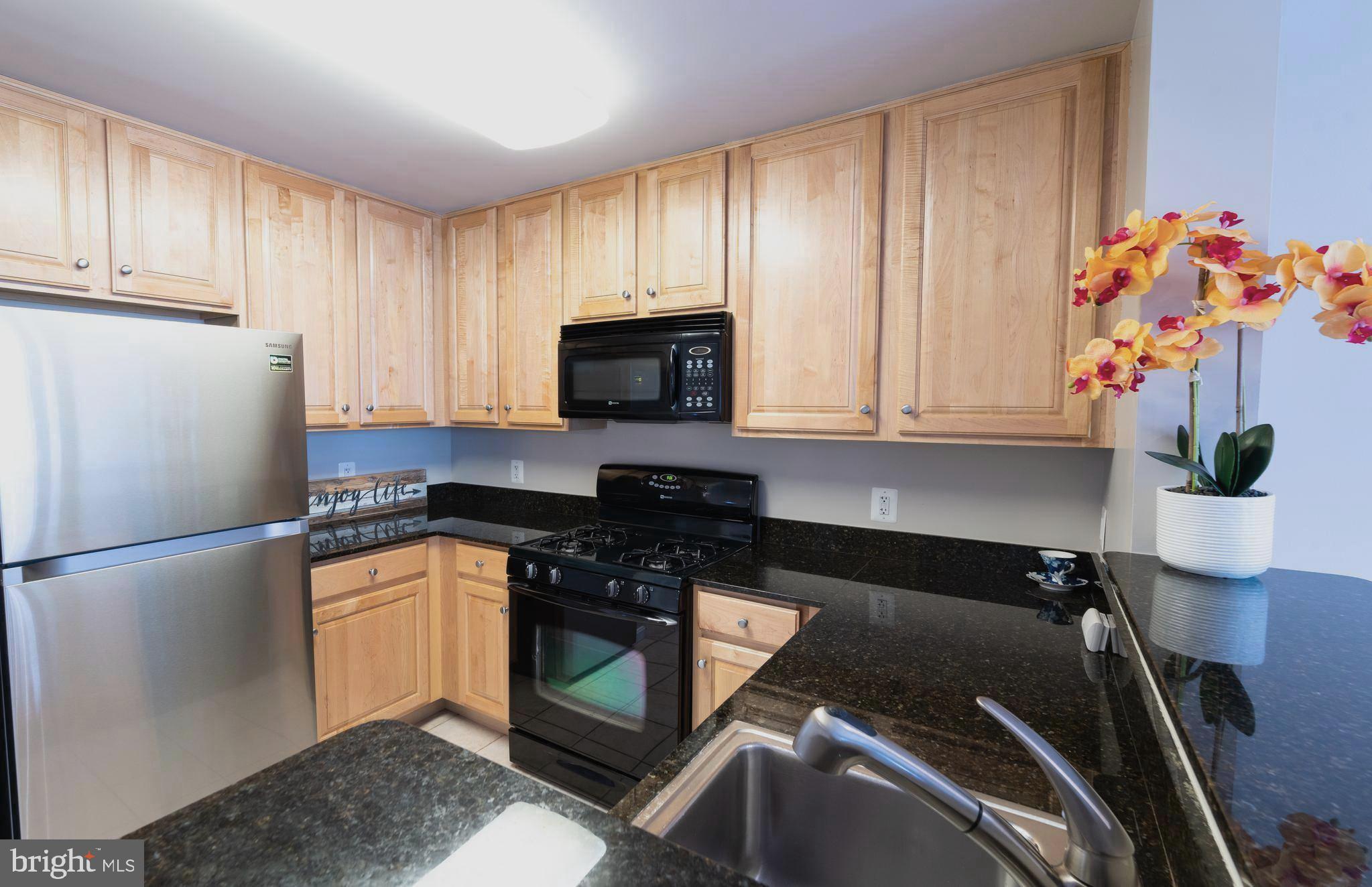 11710 Old Georgetown Road, Unit 1421 North Bethesda, MD 20852 - Photo 5 of 17 42" Kitchen cabinets