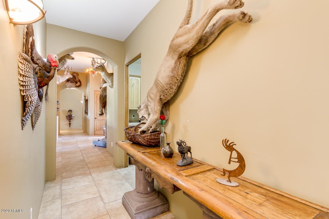3306 West Cloud Road Phoenix, AZ 85086 - Photo 40 of 61 40-Cloud