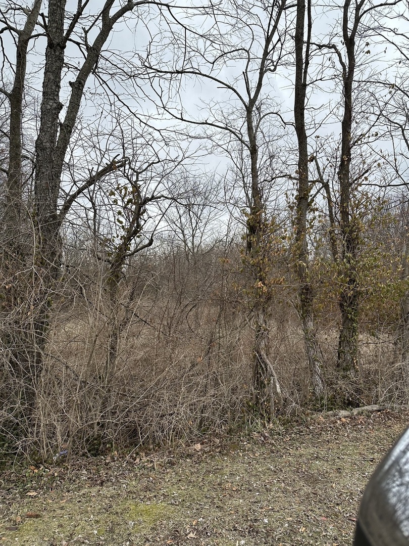 Lot 1 Pecan Road Du Quoin, IL 62832 - Photo 2 of 3 Gallery Image 2