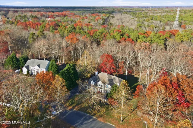 a view of a tree with a yard