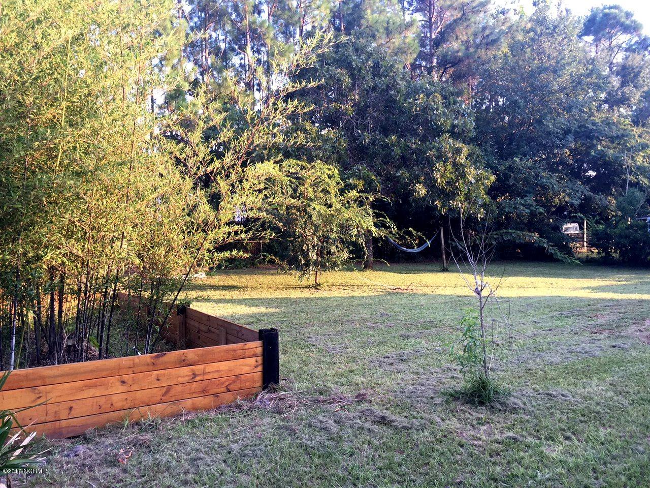 4838 Berkley Drive Wilmington, NC 28405 - Photo 13 of 15 bamboo in backyard
