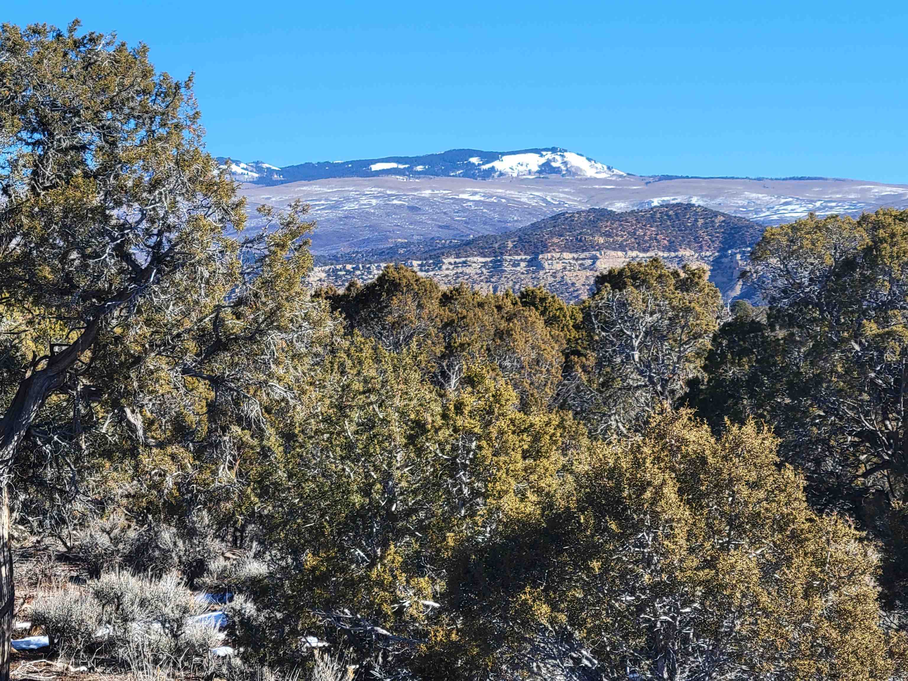 25 Q 25 Road Cedaredge, CO 81413 - Photo 1 of 1 a view of a large building with a mountain in the background