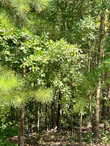 $20,000 | 2121 Southlake Parkway, Augusta, GA 30906