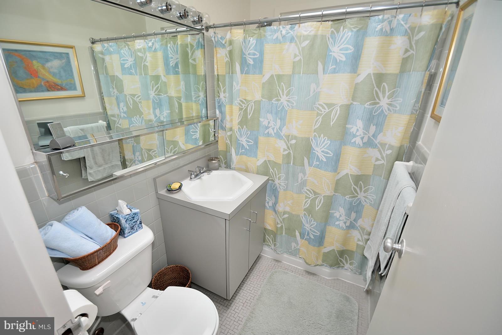 7211 Beechwood Road Alexandria, VA 22307 - Photo 20 of 30 Bath 2