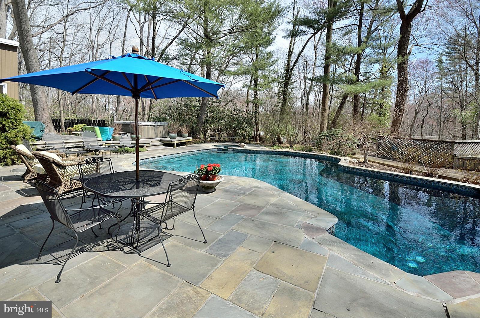 7211 Beechwood Road Alexandria, VA 22307 - Photo 27 of 30 Flagstone Patio and Pool