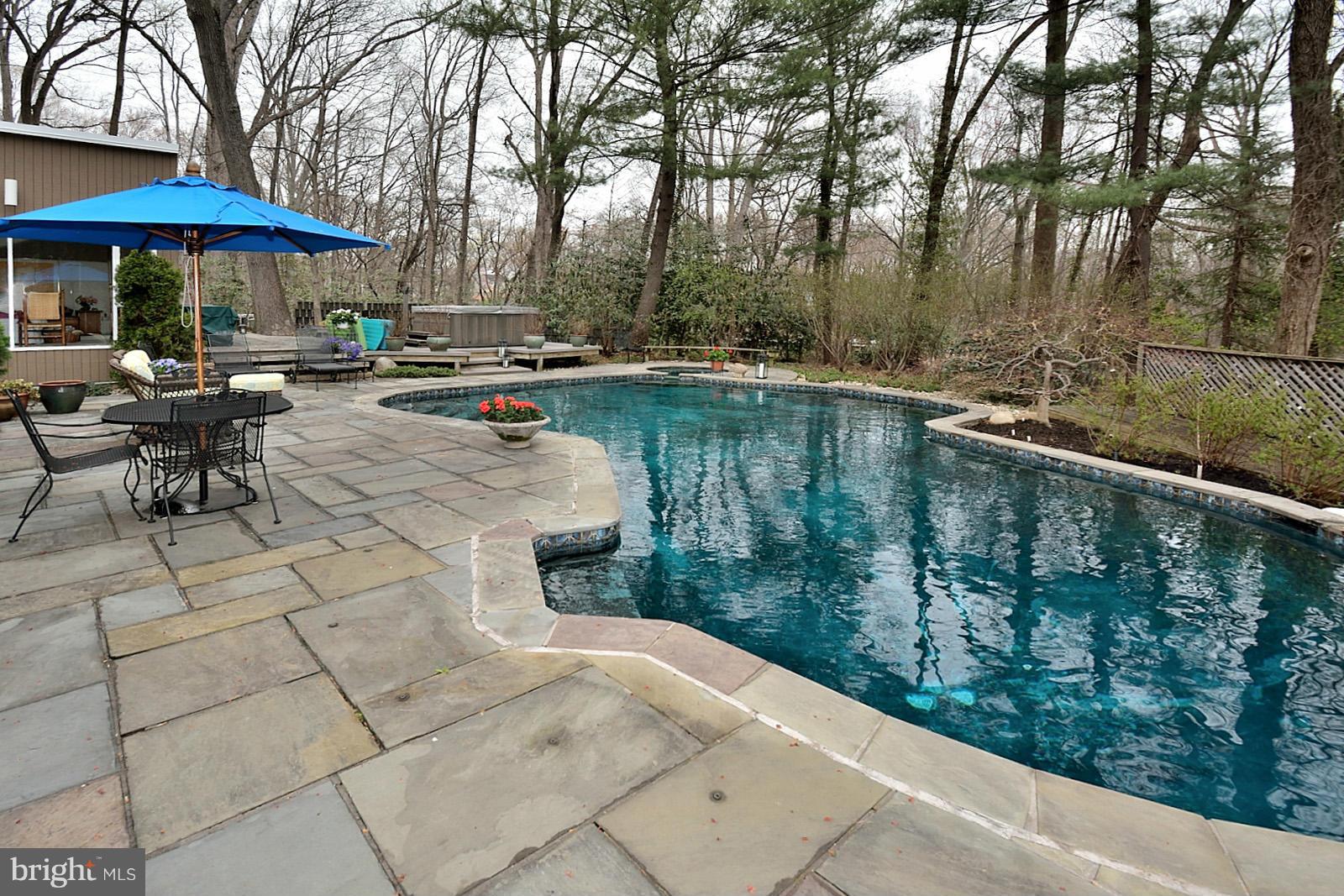 7211 Beechwood Road Alexandria, VA 22307 - Photo 29 of 30 Pool and Patio
