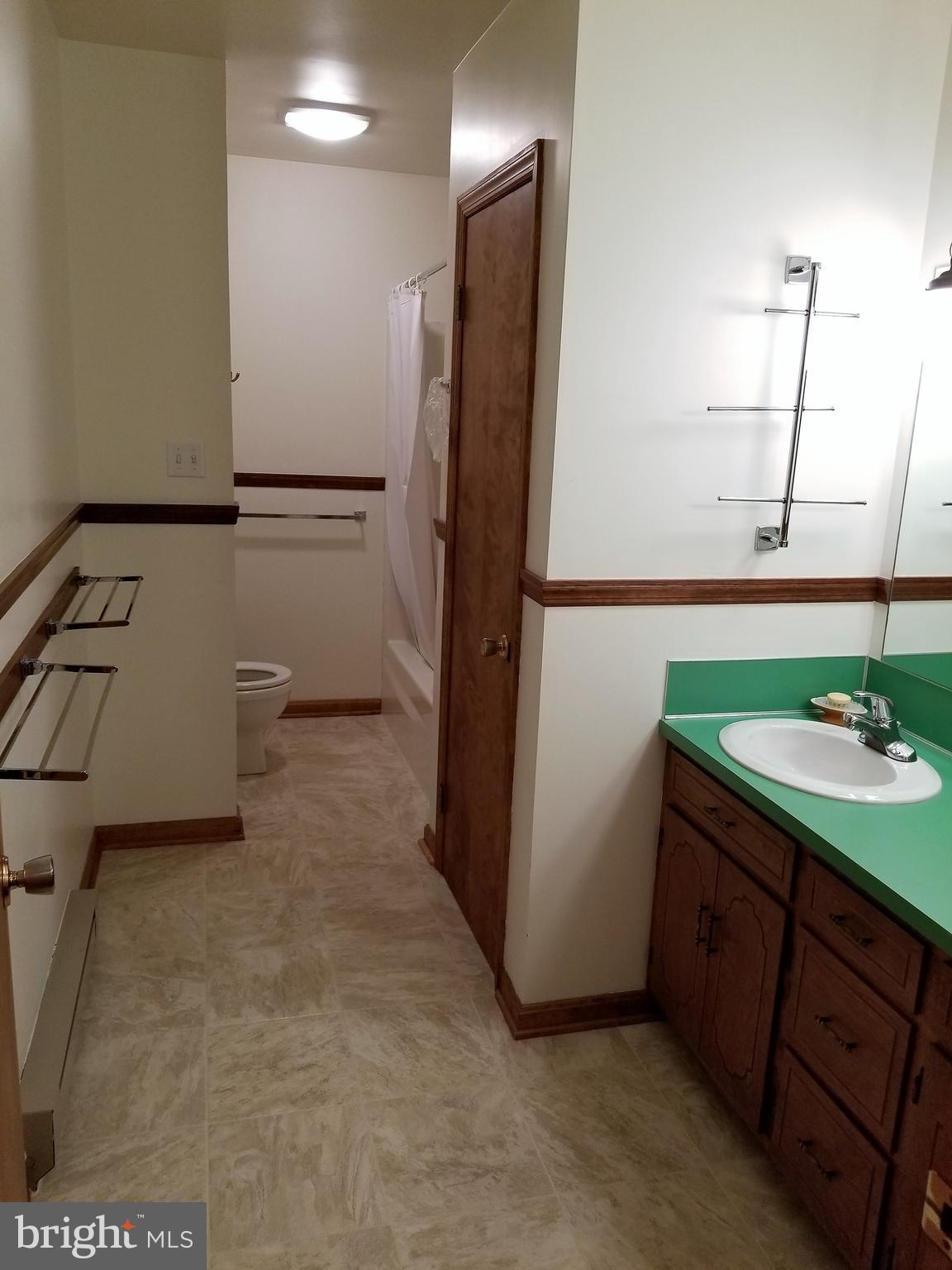 12116 Blue Ridge Court Waynesboro, PA 17268 - Photo 13 of 29 Bath