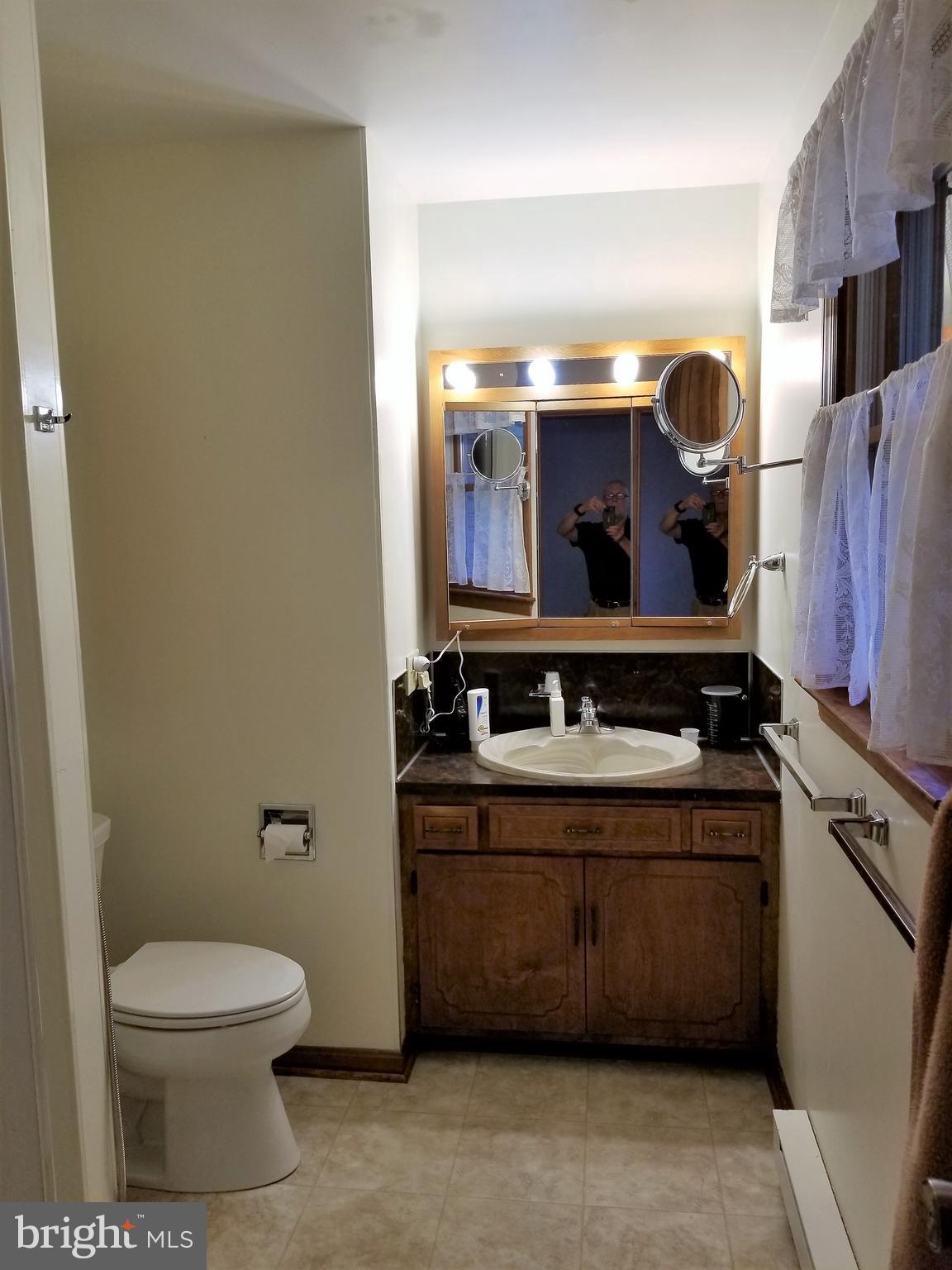12116 Blue Ridge Court Waynesboro, PA 17268 - Photo 20 of 29 Bath (Master)
