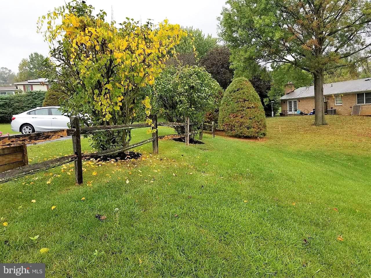 12116 Blue Ridge Court Waynesboro, PA 17268 - Photo 26 of 29 Yard