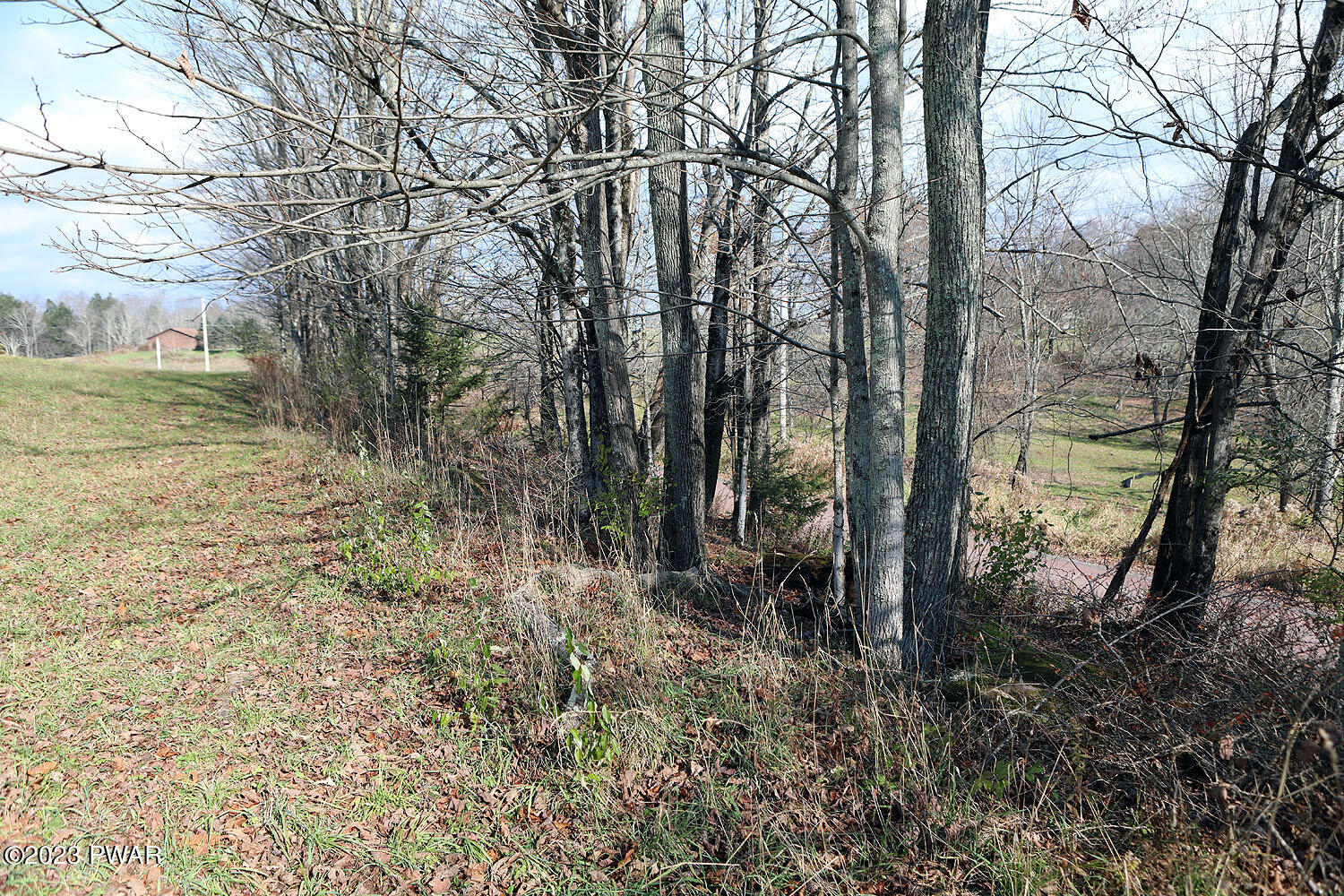 0 Marks Road Damascus, PA 18415 - Photo 29 of 33
