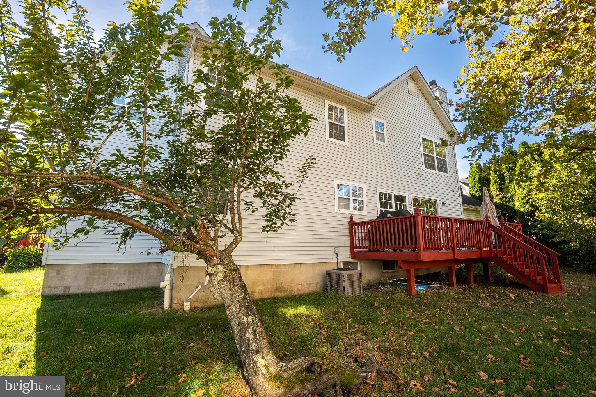 42 Nostrand Road Hillsborough, NJ 08844 - Photo 8 of 43