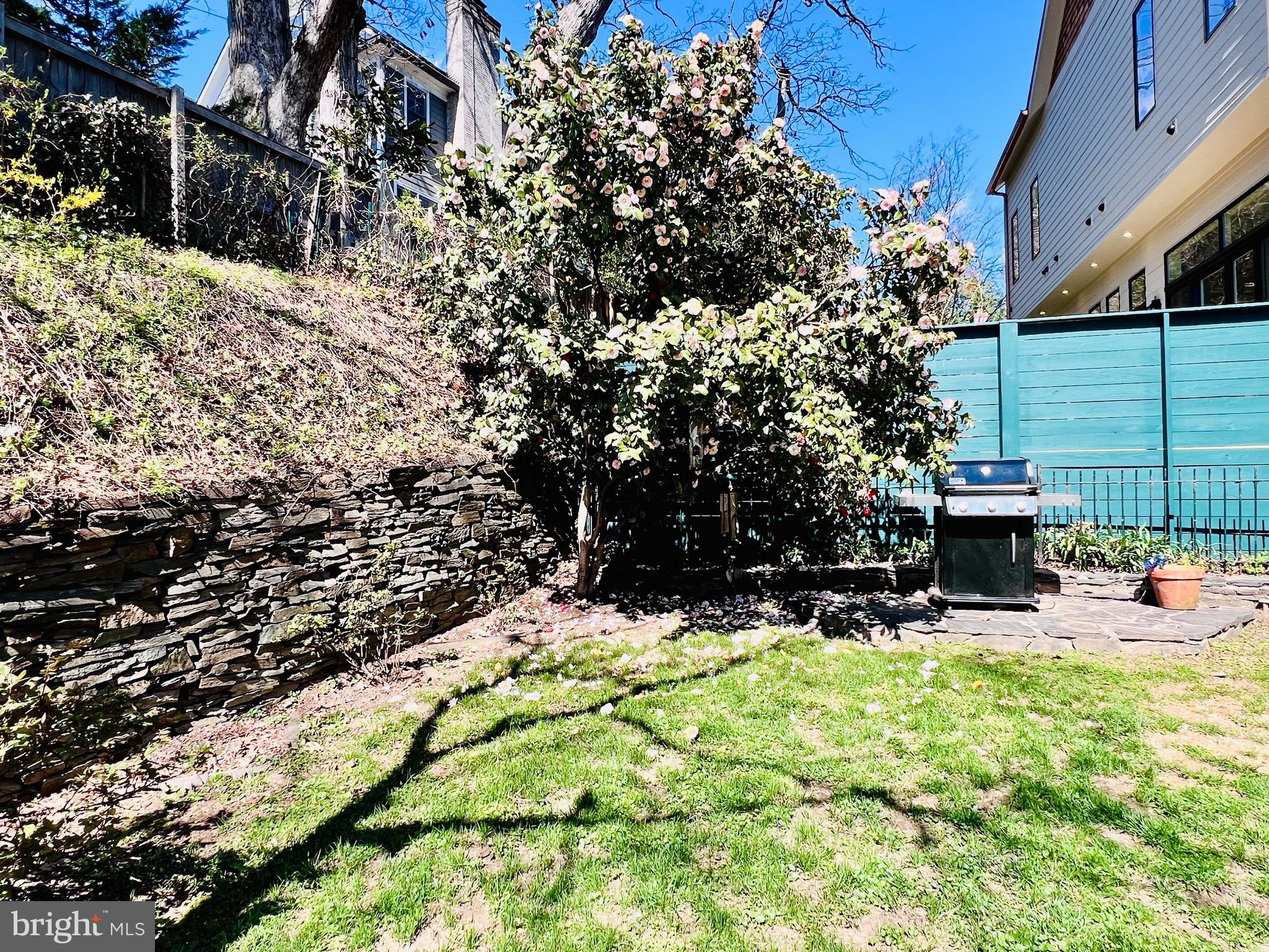 5015 Fulton Street Northwest Washington, DC 20016 - Photo 7 of 8 Backyard