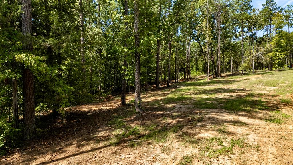 688 Spray Shed Road Greenwood, SC 29649 - Photo 10 of 17