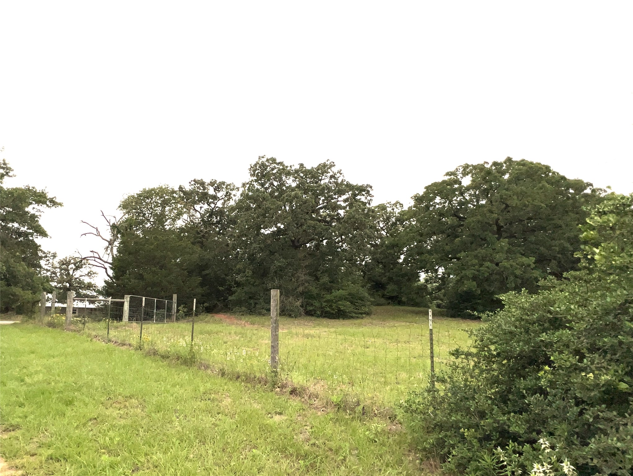 160 Rosanky Cattle Company Road, Unit R Smithville, TX 78957 - Photo 8 of 19 a view of an empty space and a park