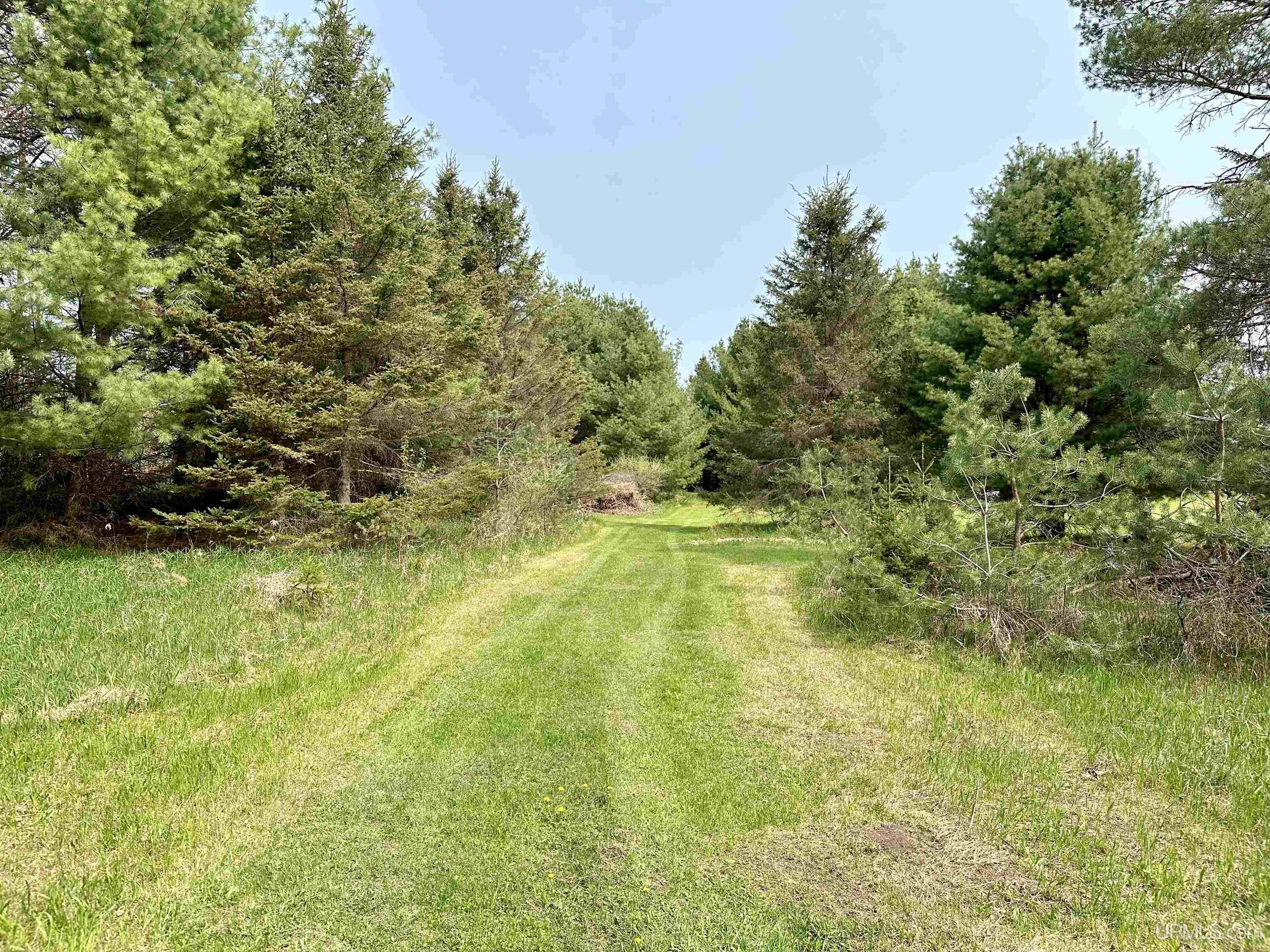 5131 I Road Bark River, MI 49807 - Photo 41 of 46