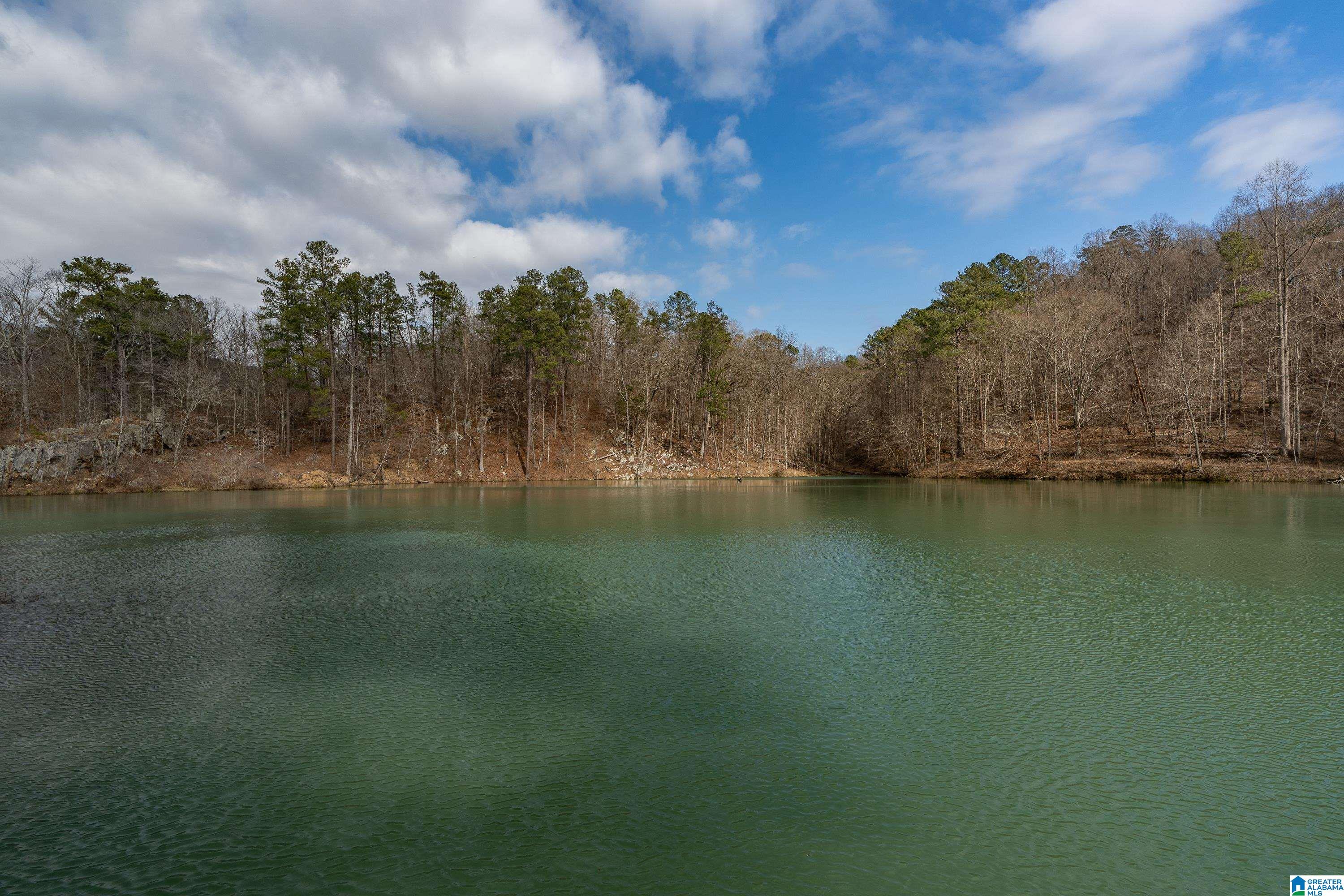 315 Ridge Drive Hayden, AL 35079 - Photo 38 of 44