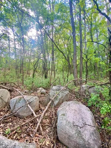 $30,000 | Hillside Drive, Weyauwega, WI 54983