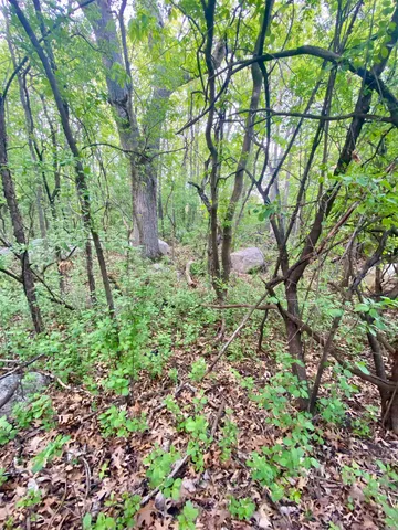 $30,000 | Hillside Drive, Weyauwega, WI 54983