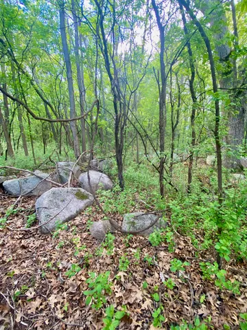 $30,000 | Hillside Drive, Weyauwega, WI 54983