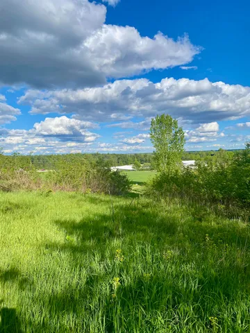 $30,000 | Hillside Drive, Weyauwega, WI 54983