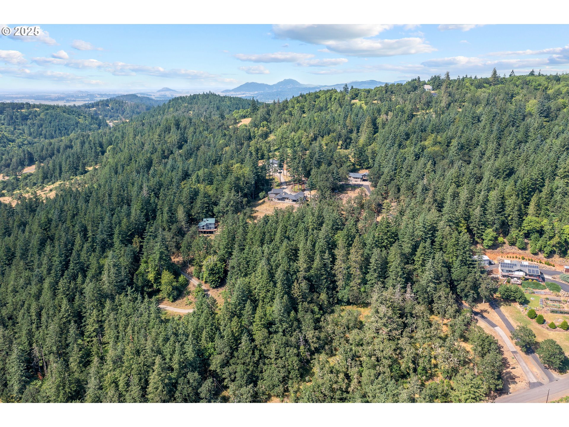24911 Gap Road Brownsville, OR 97327 - Photo 44 of 44 a view of a city with lush green forest