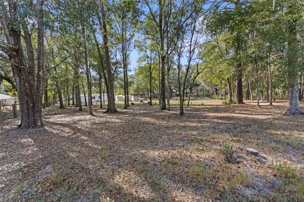 15031 Bailey Hill Road Brooksville, FL 34614 - Photo 18 of 23