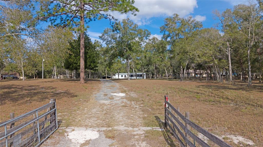 15031 Bailey Hill Road Brooksville, FL 34614 - Photo 3 of 23