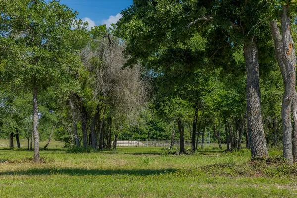 a grassy field with trees in the background