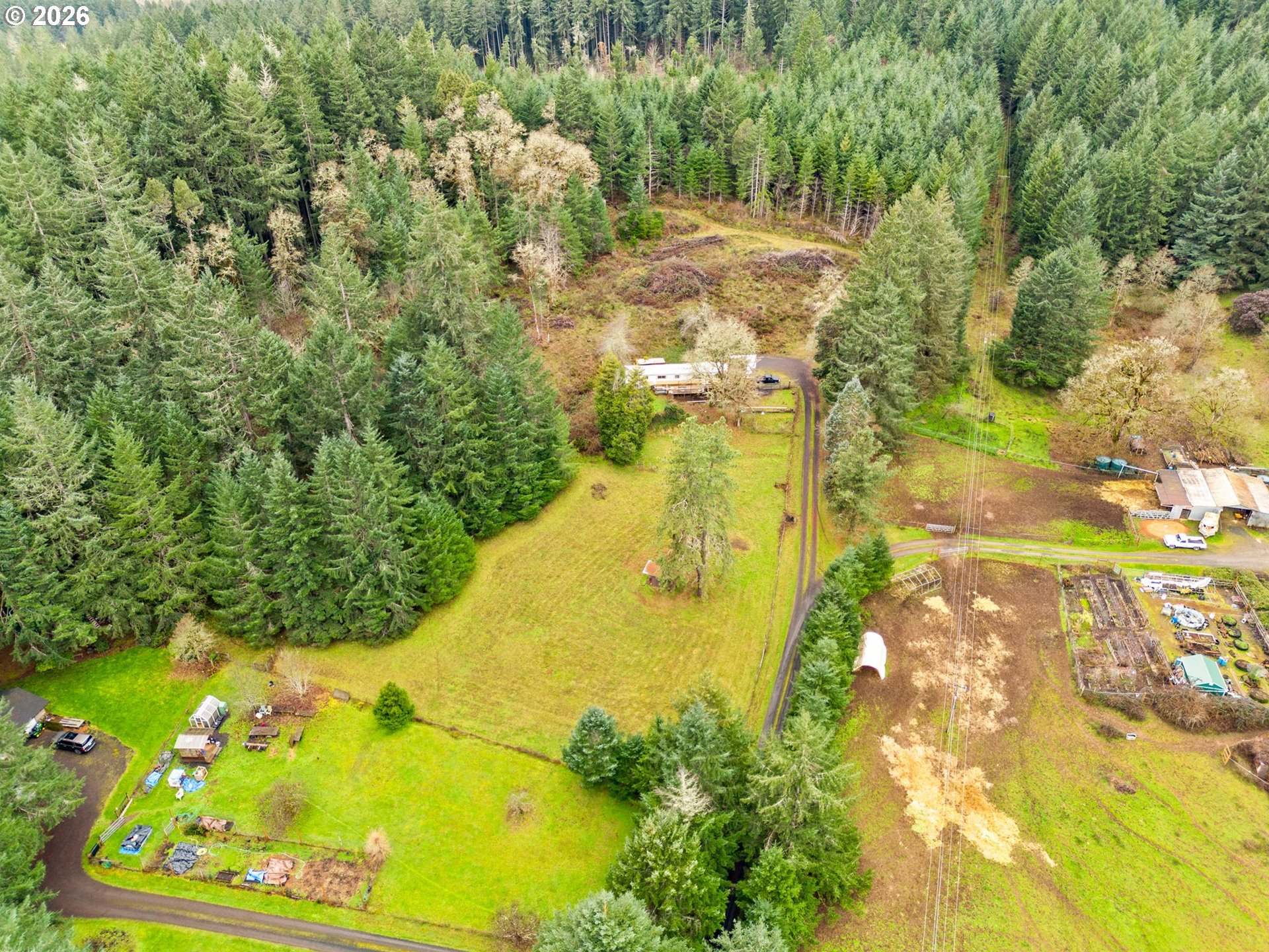 89582 Demming Road Elmira, OR 97437 - Photo 12 of 13