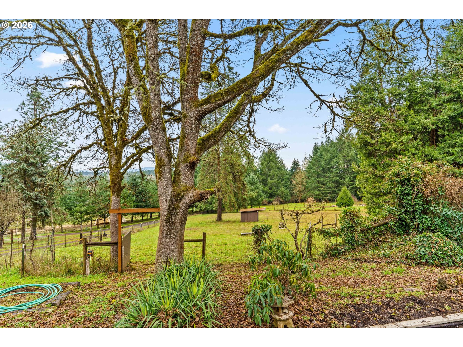 89582 Demming Road Elmira, OR 97437 - Photo 10 of 13