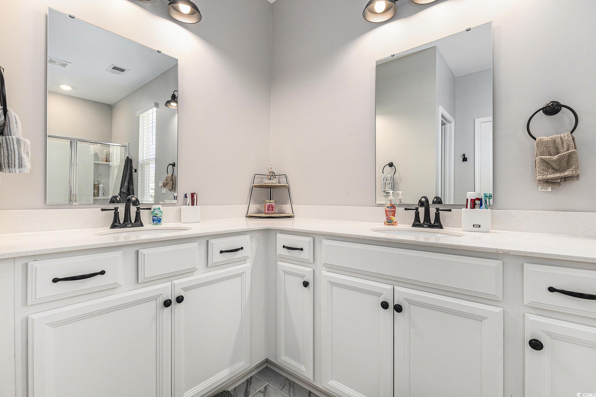 312 Cattle Drive Circle Myrtle Beach, SC 29588 - Photo 18 of 34 Bathroom featuring vanity, a shower stall, and plenty of natural light