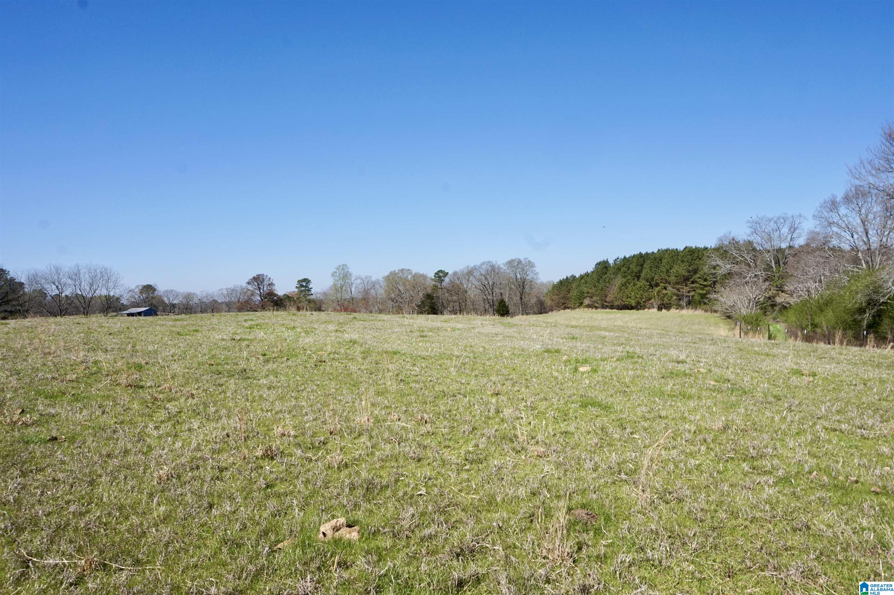 8115 Helicon Road Arley, AL 35541 - Photo 74 of 86