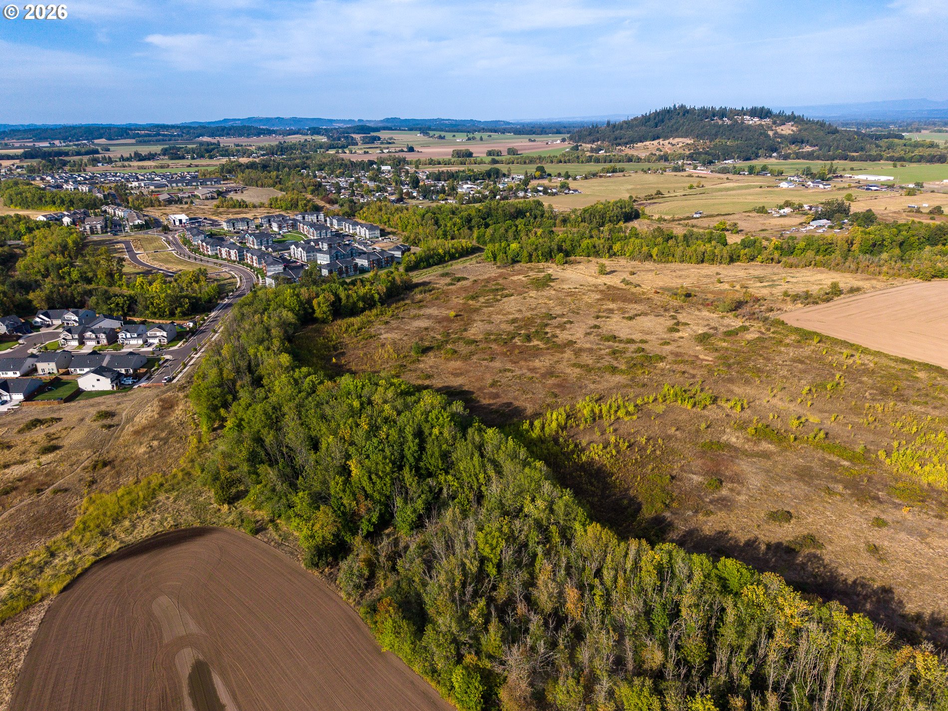 Timber Ridge Street Albany, OR 97322 - Photo 4 of 15 Gallery Image 4