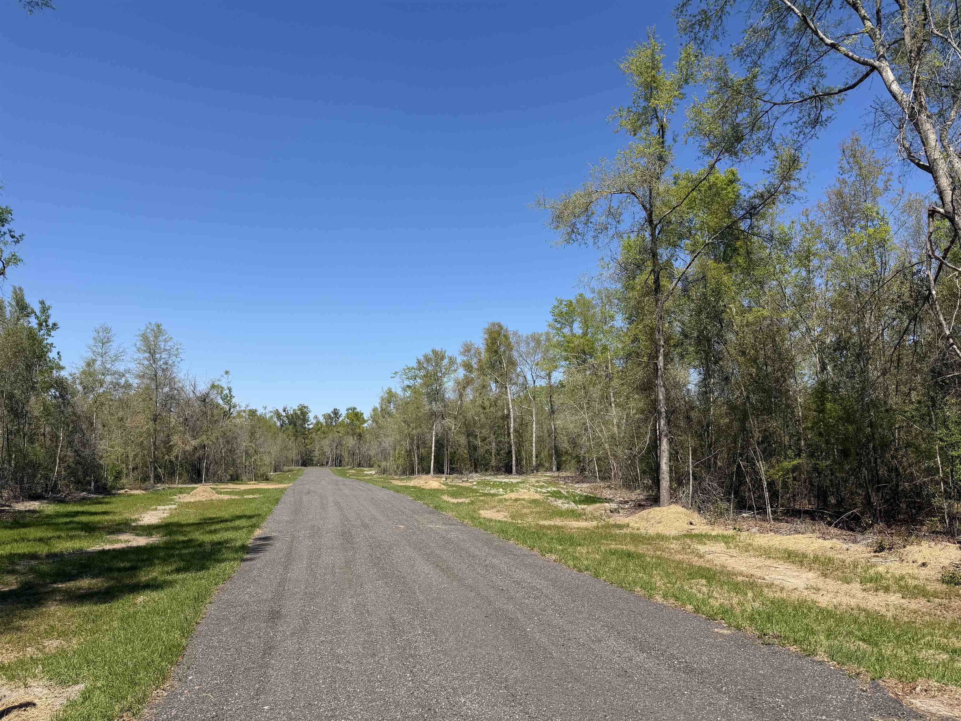 2 Highway 90 Holt, FL 32564 - Photo 15 of 24