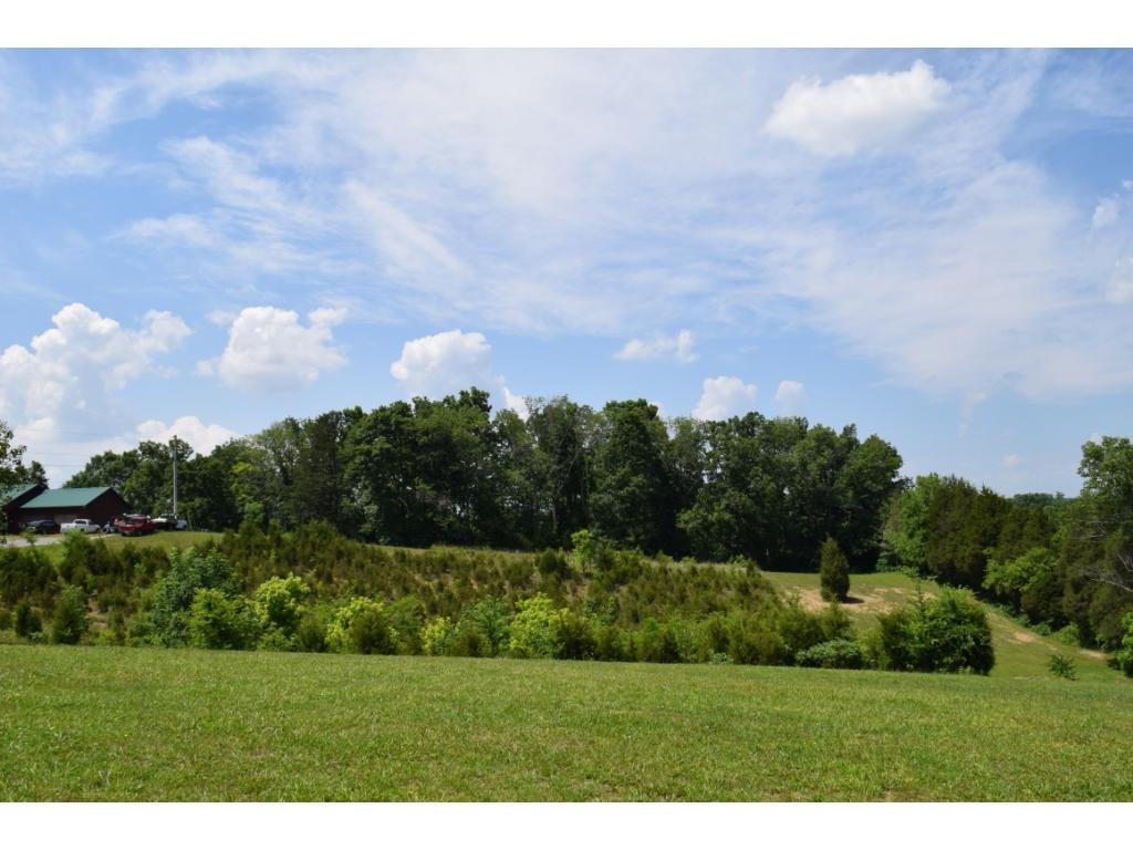 Lot 5 Elmer Hayes Road, Unit 5 Mosheim, TN 37818 - Photo 4 of 10 Photo 4