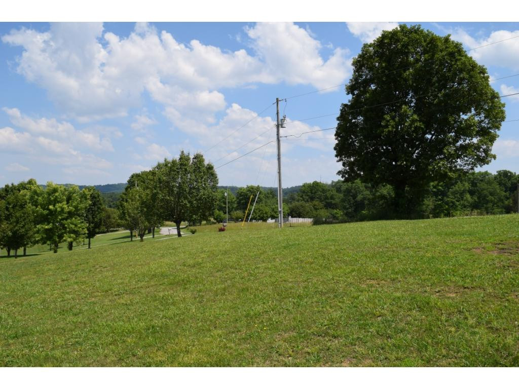Lot 5 Elmer Hayes Road, Unit 5 Mosheim, TN 37818 - Photo 5 of 10 Photo 5