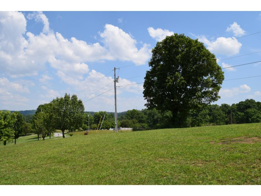 Lot 5 Elmer Hayes Road, Unit 5 Mosheim, TN 37818 - Photo 6 of 10 Photo 6