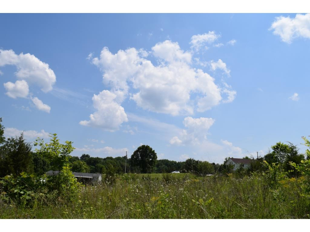 Lot 5 Elmer Hayes Road, Unit 5 Mosheim, TN 37818 - Photo 7 of 10 Photo 7