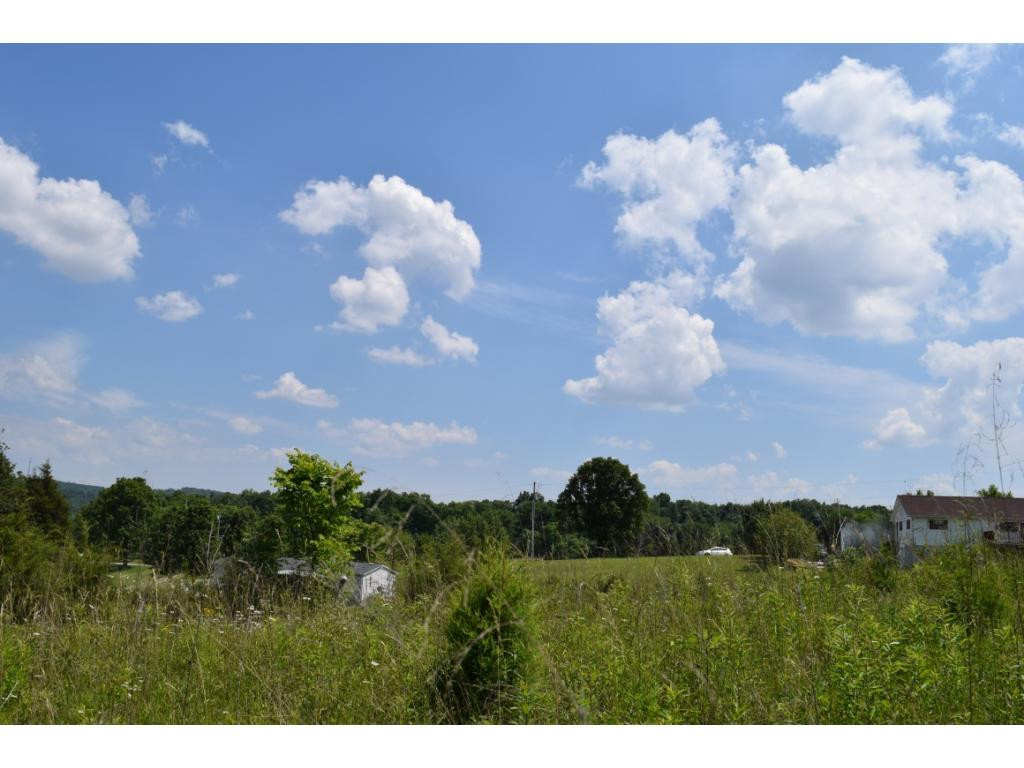 Lot 5 Elmer Hayes Road, Unit 5 Mosheim, TN 37818 - Photo 8 of 10 Photo 8