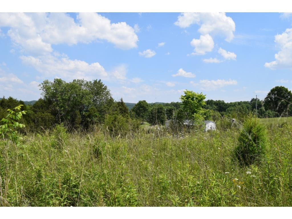 Lot 5 Elmer Hayes Road, Unit 5 Mosheim, TN 37818 - Photo 9 of 10 Photo 9