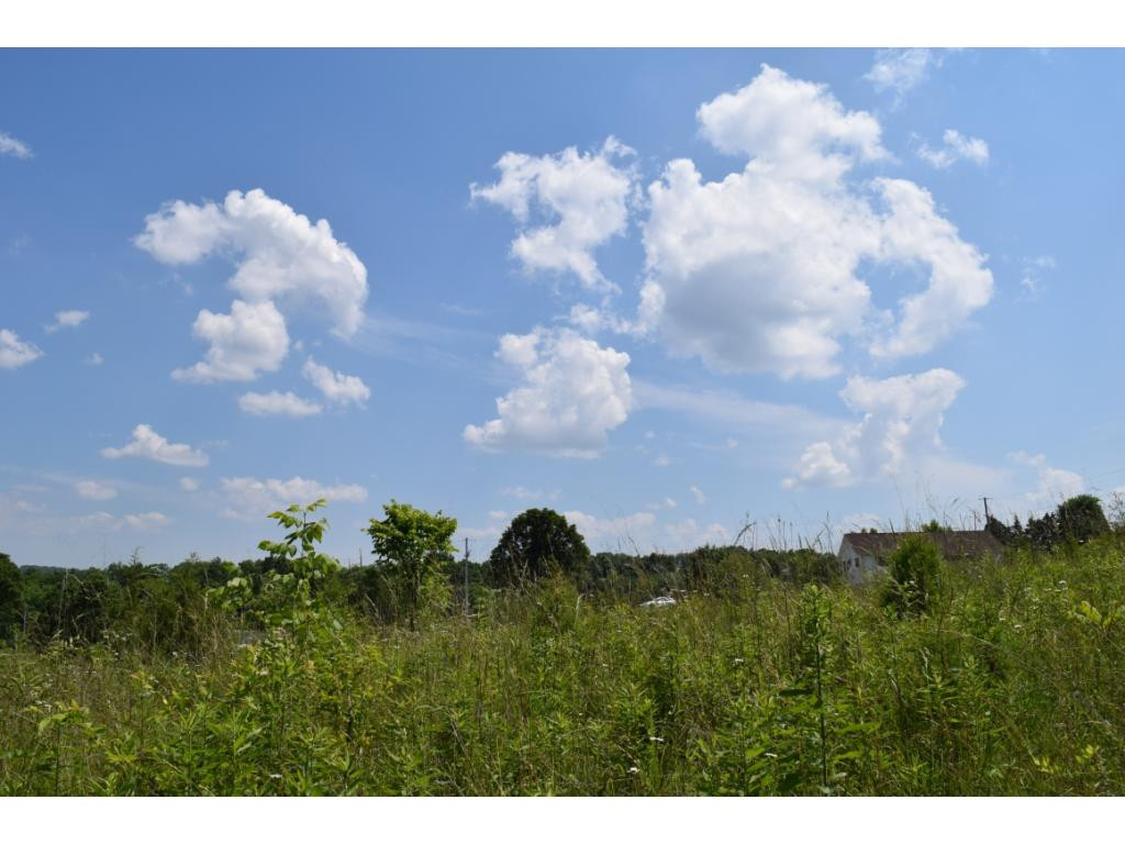Lot 5 Elmer Hayes Road, Unit 5 Mosheim, TN 37818 - Photo 10 of 10 Photo 10