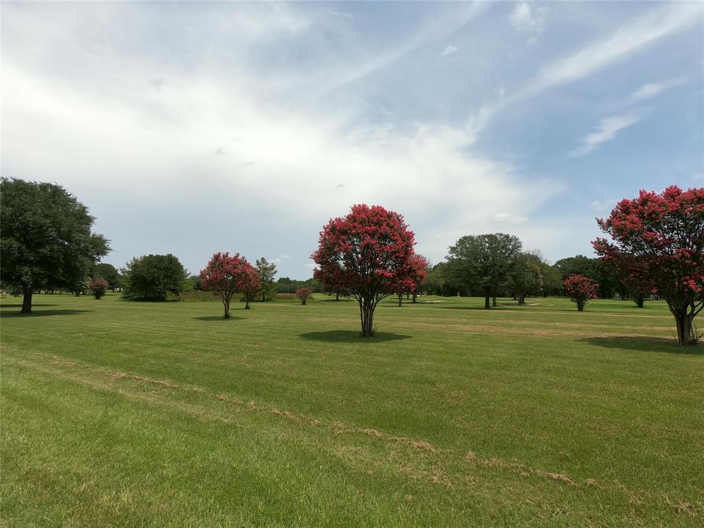 Lot Pt31-32 Emory Tx 75440 Emory, TX 75440 - Photo 8 of 15