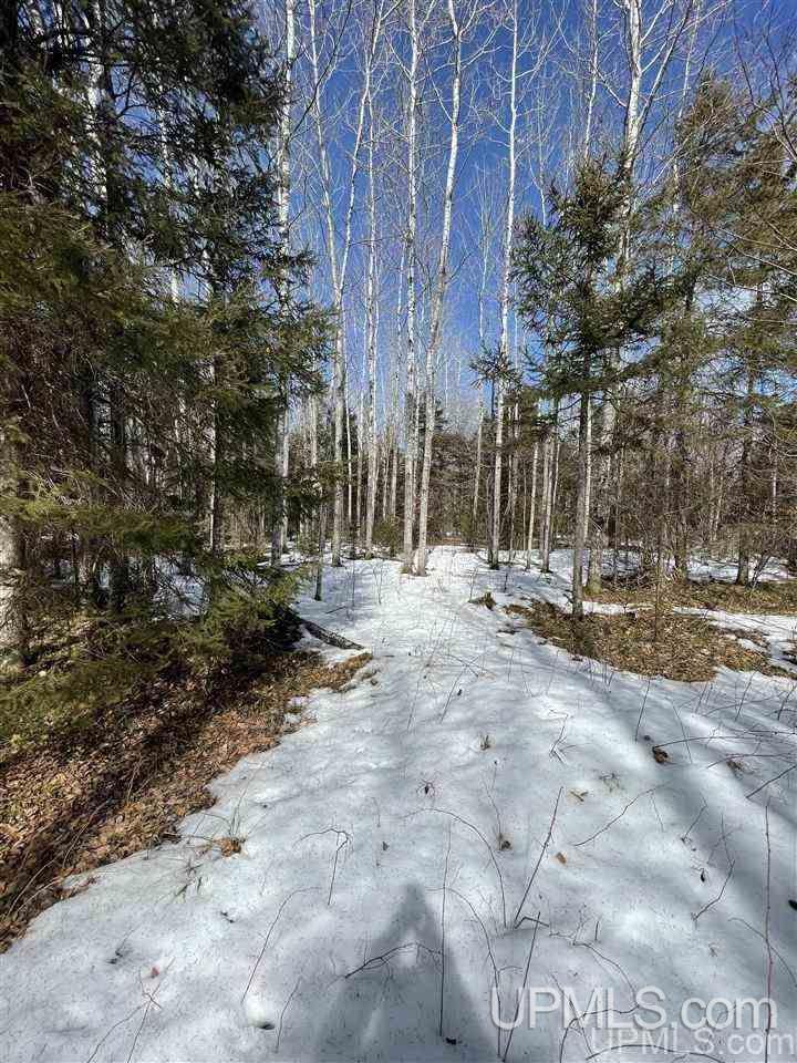 Tbd Tbd Co Road, Unit 1 Marquette, MI 49855 - Photo 27 of 50