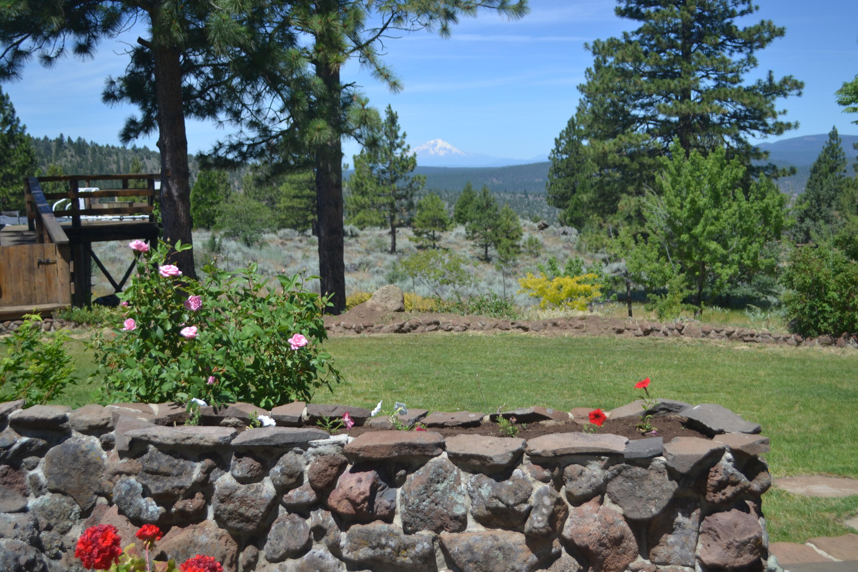 542-405 Punkin Center Road Bieber, CA 96009 - Photo 117 of 127 Yard (7)