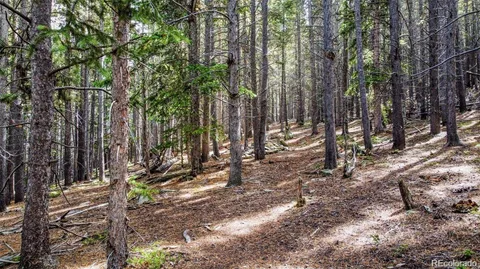 $395,000 | 0 Sawmill Lane, Idaho Springs, CO 80452